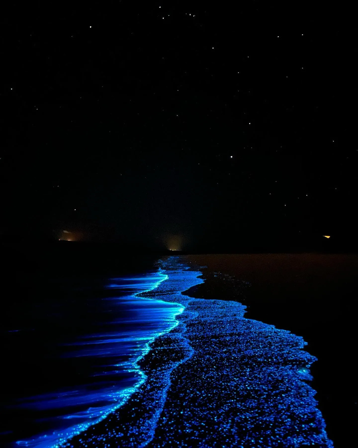 Fenomeno della bioluminescenza in un viaggio di Elisa Ilari alle Maldive.